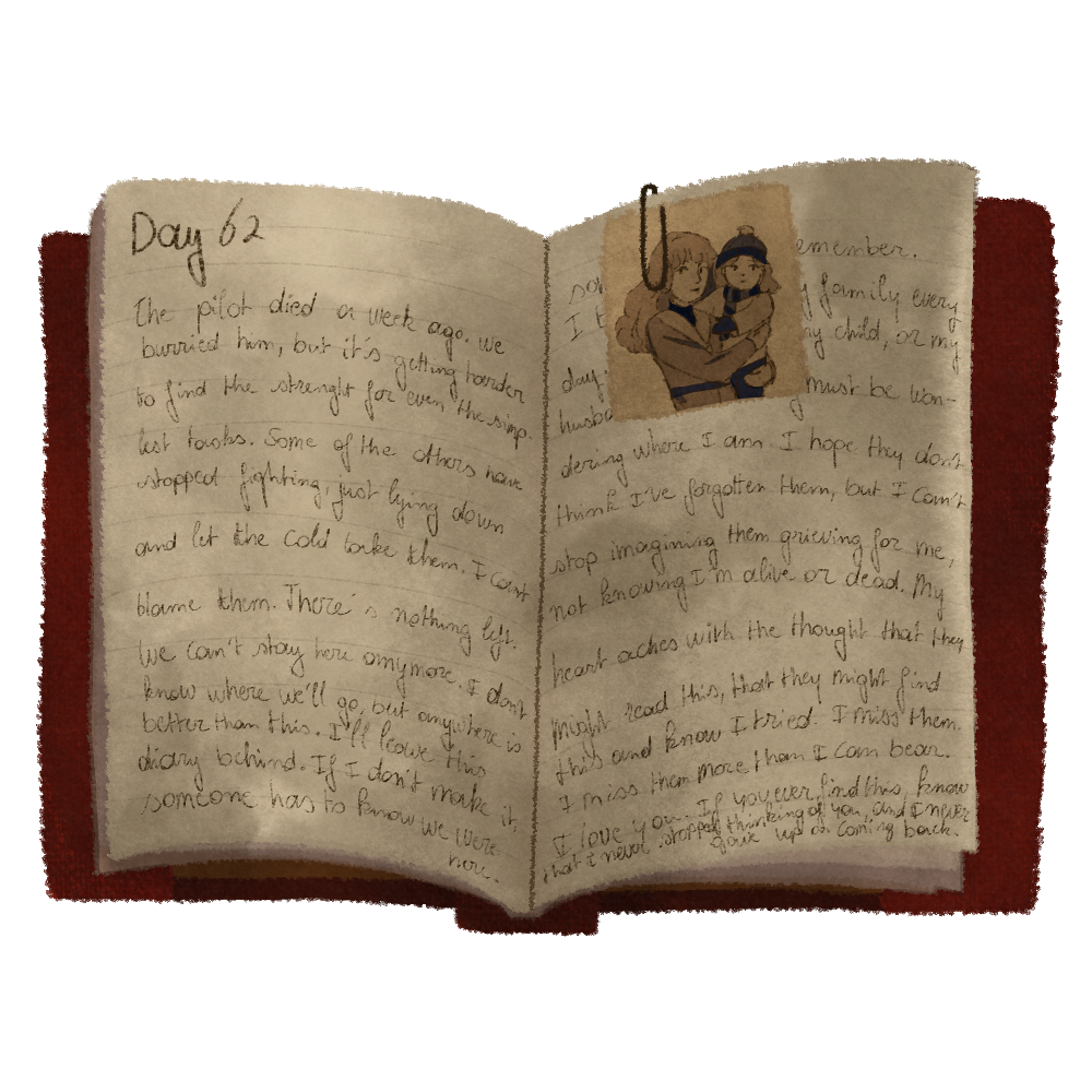 The diary object with its extended narrative entry